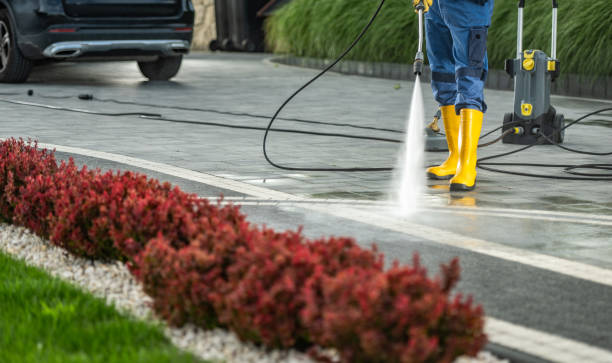 Best Solar Panel Cleaning  in Kenwood Estates, FL